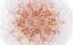 2014 04 14 Plastic 144-white.jpg